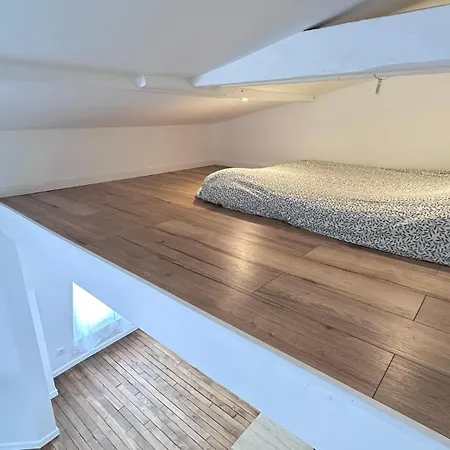 Quiet Loft With Rooftop View * פריז